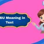 STSU Meaning in Text