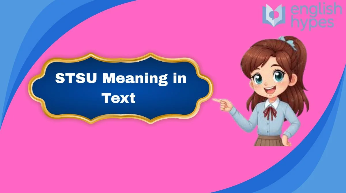 STSU Meaning in Text