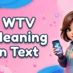 WTV Meaning in Text